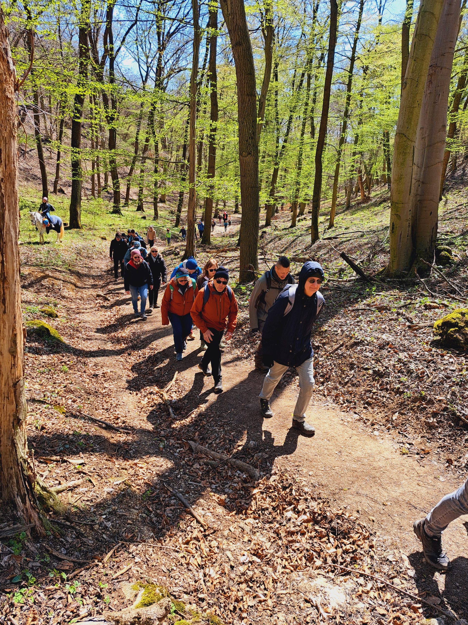 Egészségfejlesztés Természet Turizmus Egyesület